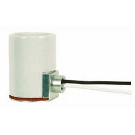 Glazed Porcelain Socket w/Side Mount Bushing and 9-in. Leads