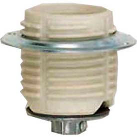 Keyless Threaded Glazed Porcelain Socket w/ Cap - Ring 1/8 IPS