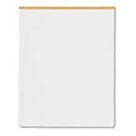 Desk Protector and Organizer, 17 X 21, Clear
