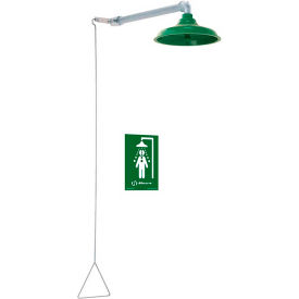Barrier-Free Horizontal Supply Drench Shower, ABS Plastic Head
