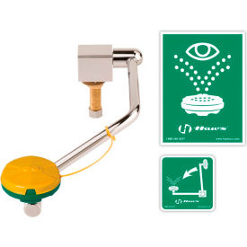 Barrier-Free Single Action Swing-Down Eye/Face Wash Mounted On Rear Of Sink