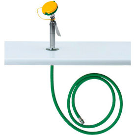 Counter-Mount Eyewash Station Drench Hose