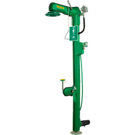 AXION MSR, 120 VAC Freeze-Resistant Combo Shower and Eye Wash Station