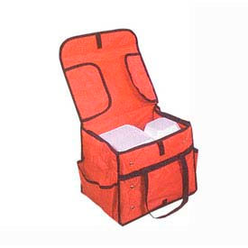 Deluxe Sandwich Delivery Bag, 15" x 9" x 12"