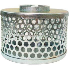 2" FNPT Plated Steel Round Hole Strainer