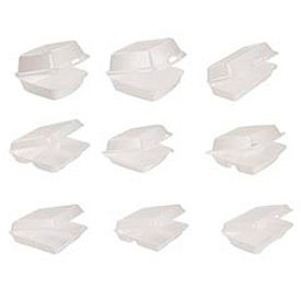 Foam Hinged Lid Hot Dog Container, White, 500/Carton