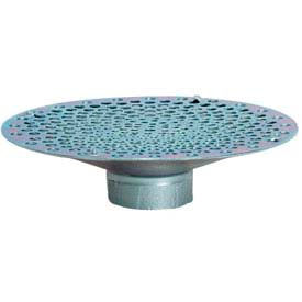 2" FNPT Bottom Hole Plated Steel Skimmer Strainer