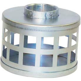 4" FNPT Plated Steel Square Hole Strainer