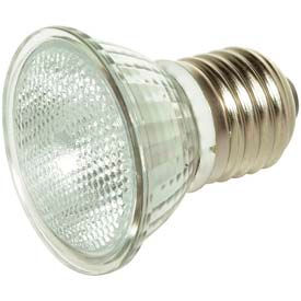 35w Halogen W/ Medium Base Bulb