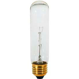 40t10 40w General Service W/ Medium Base Bulb