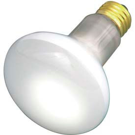 50w Incandescent Bulb with Medium Base