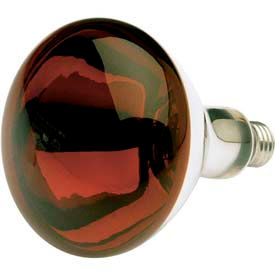 250w Reflectors W/ Medium Base Bulb