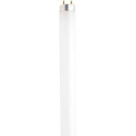 32w Fluorescent W/ Medium Bi-Pin Base - Daylight Bulb