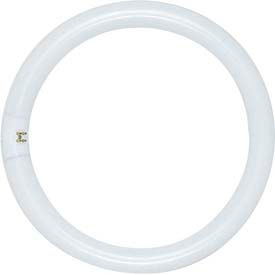 22w Fluorescent W/ 4 Pin Base - Warm White Bulb