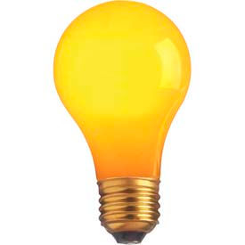 40w Incandescent W/ Medium Base Bulb
