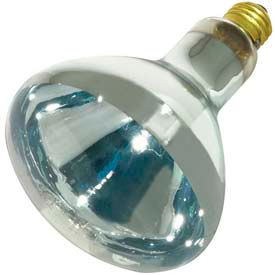 125w Incandescent Clear Heat Lamp, Medium Base