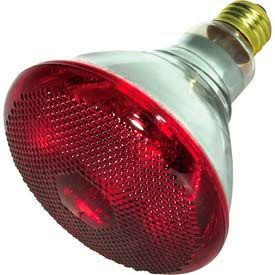 175W Incandescent Bulb with Medium Base
