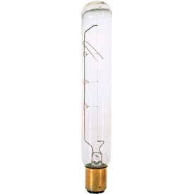 20w Incandescent Bulb with DC Bay Base