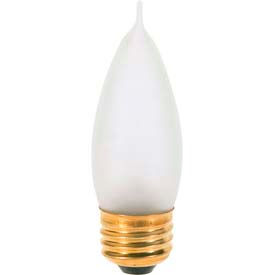 25w Incandescent Bulb with Medium Base, 120v
