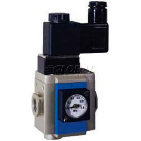 Soft Start Valve, 1/4" NPT, 3/8" NPT Exh, Bracket, 24VDC