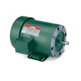 0.17 HP, 1725 RPM, 115/230V, 48C, TEFC, C-Face Rigid