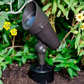 Moon Visions BR20 Uplight-Bronze Texture