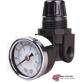 Mini Regulator, Zinc, 1/4" Npt, 250 Psi