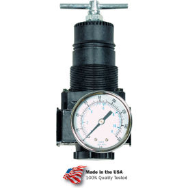 Standard Regulator, Aluminum, 3/8" Npt, 250 Psi - Min Qty 2