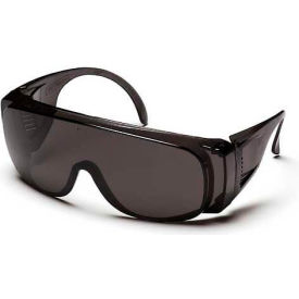 Gray Lens/Frame Combination