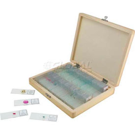 Prepared Microscope Slides (100 Piece Set)