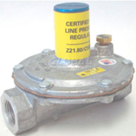 Regulator For All Ceramic Heaters Up To 2 Psig