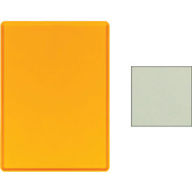 Tray Dietary 14" x 18", Citrus Orange