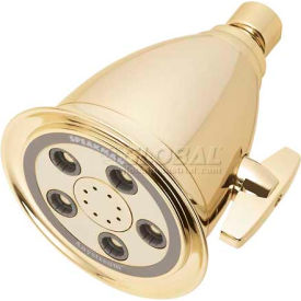 Anystream™ Hotel 5-Jet Shower Head, Polished Brass Finish, 2.5 GPM