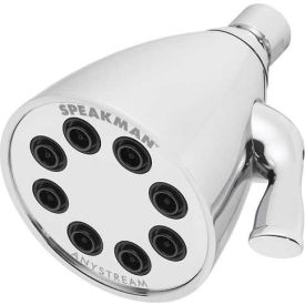 Anystream Icon 8-Jet Shower Head, Polished Chrome Finish, 2.5 GPM