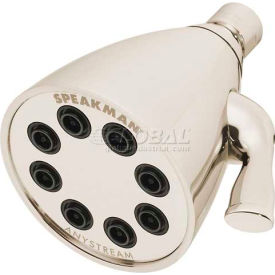 Anystream Icon 8-Jet Shower Head, Polished Nickel Finish, 2.5 GPM