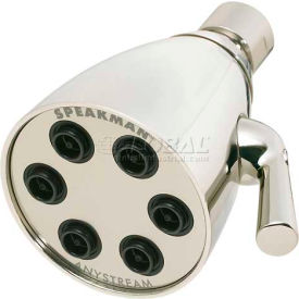 Anystream Icon 6-Jet Shower Head, Polished Nickel Finish, 2.5 GPM