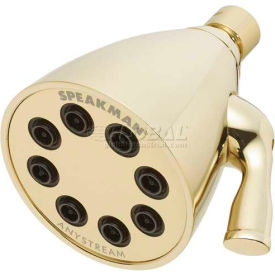 Anystream Icon 8-Jet Shower Head, Polished Brass Finish, 2.5 GPM
