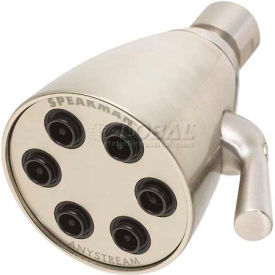 Anystream® Icon 6-Jet Shower Head, Brushed Nickel Finish, 2.5 GPM