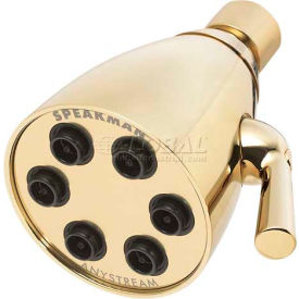Anystream Icon 6-Jet Shower Head, Polished Brass Finish, 2.5 GPM