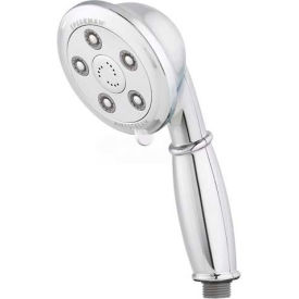 Anystream® Alexandria Hand Held Shower Head, Polished Chrome Finish, 2 GPM