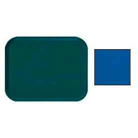 12" x 16" Rectangle, Amazon Blue