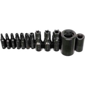 Torx Bit Set, 1/4" & 3/8" Drive, T10 to T55, 10 Piece