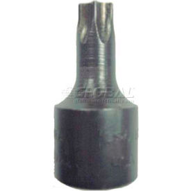 Socket, 3/8" Drive, T50 Internal Torx