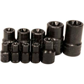 Socket, 3/8" Drive, E12 External Torx