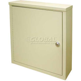 Wall Storage Cabinet, Ambi-Top, 1 Adjustable Shelf, 16"W x 4"D x 16-3/4"H, Grey