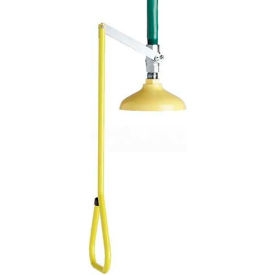 Speakman Lifesaver Emergency Shower
