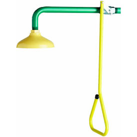 Speakman SE-227 Lifesaver Emergency Shower
