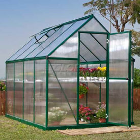 Nature 6' x 8' Greenhouse, Green Frame, Twin-Wall