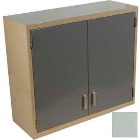 Lab Wall Cabinet 35"W x 13"D x 30"H, 2 Steel Doors, 2 Adj Shelves, Stone Gray