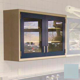Lab Wall Cabinet 35"W x 13"D x 30"H, 2 Glass Steel Encased Doors, 2 Adj Shelves, Gray